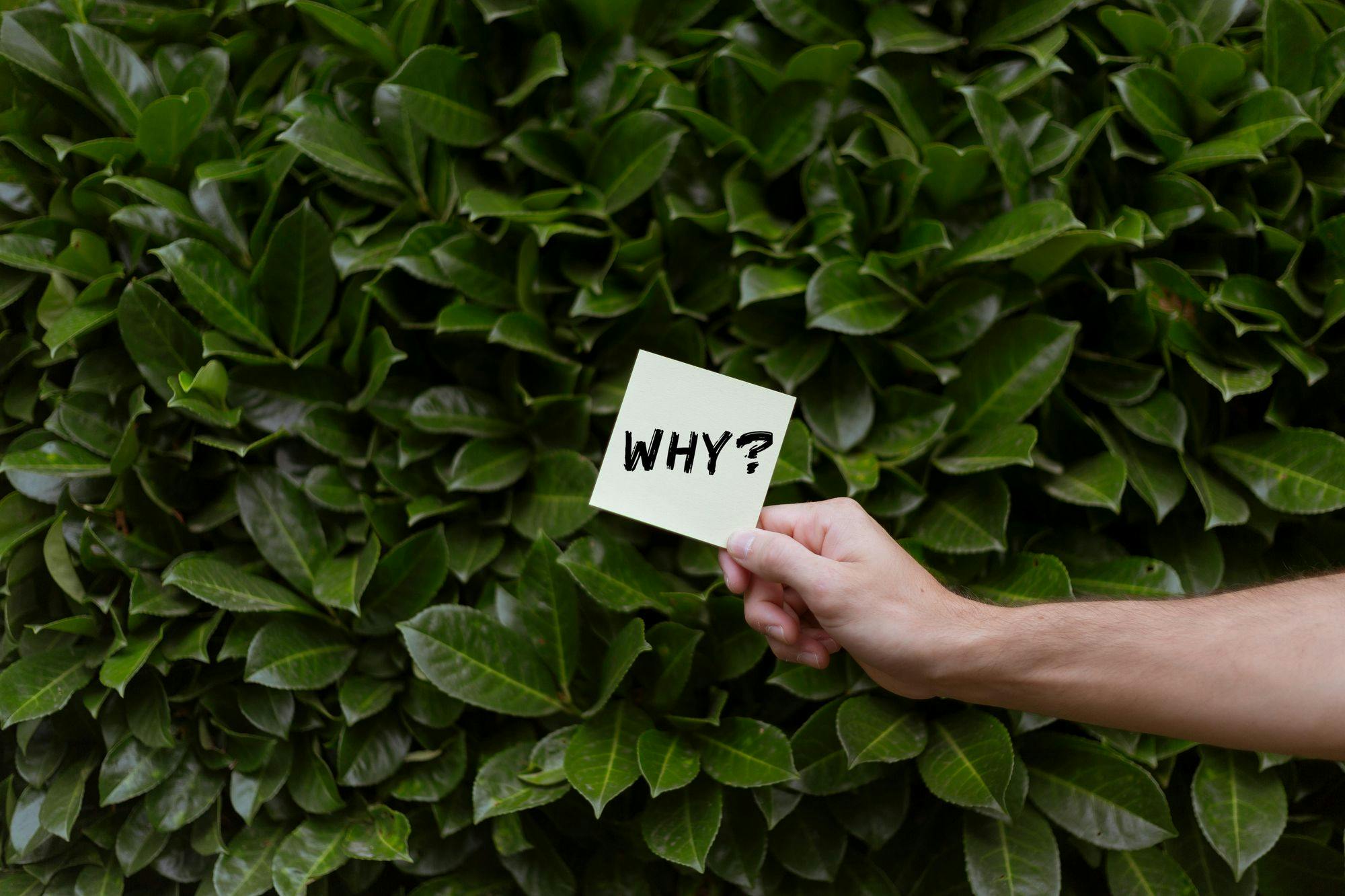Person holding a why note. Photo by Image Hunter.